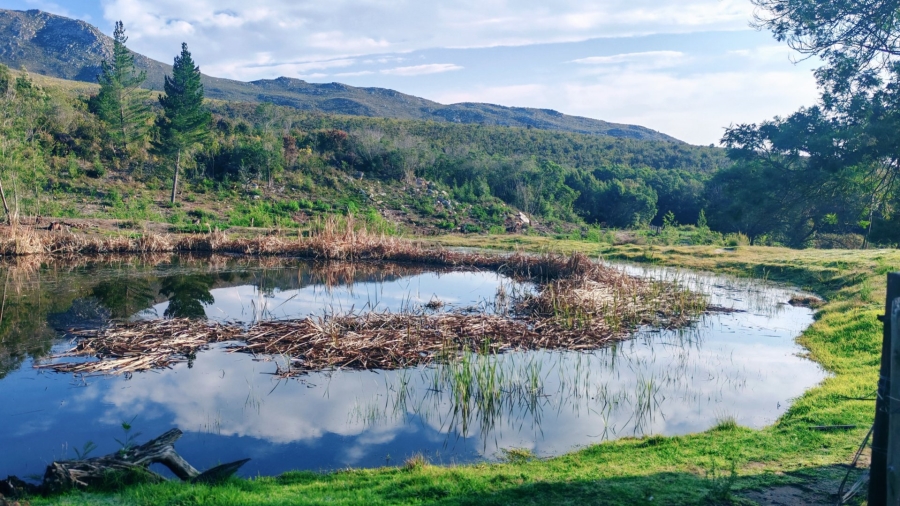 Commercial Property for Sale in Oudtshoorn Rural Western Cape